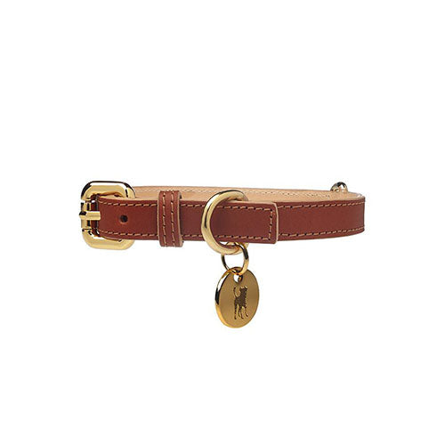 Collar para Perro de Cuero Marrón