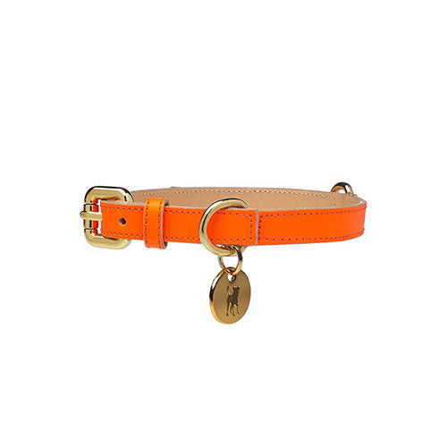 Collar para Perro de Cuero Naranja Neón
