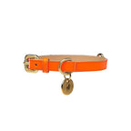 Collar para Perro de Cuero Naranja Neón