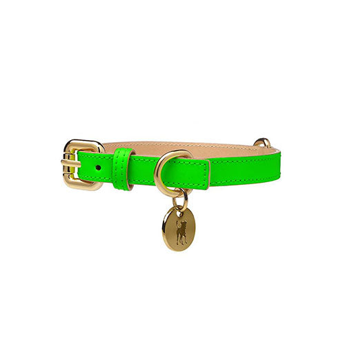 Collar para Perro de Cuero Verde Neón