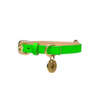 Collar para Perro de Cuero Verde Neón