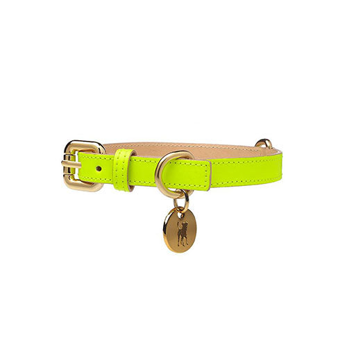 Collar para Perro de Cuero Amarillo Neón