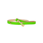 Correa para Perro de Cuero Verde Neón