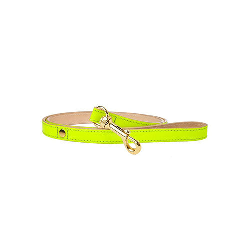 Correa para Perro de Cuero Amarillo Neón