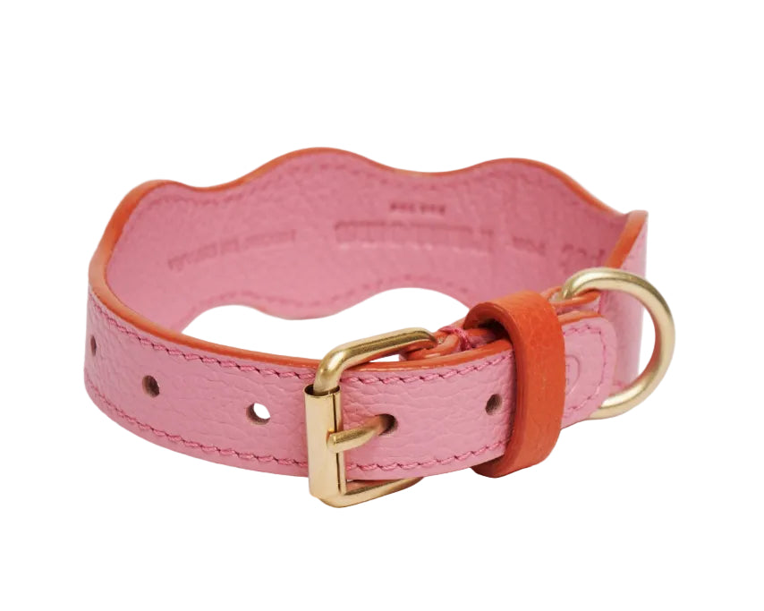 Collar The Wigglers en Tonos rosa y naranja