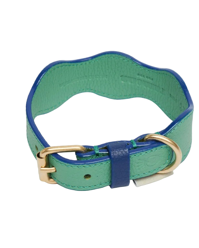Collar The Wigglers en Tonos Verde y Azul