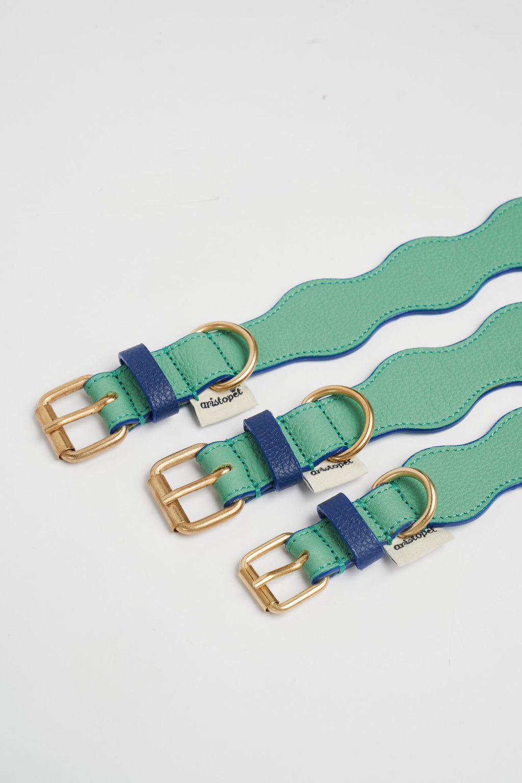 Collar The Wigglers en Tonos Verde y Azul
