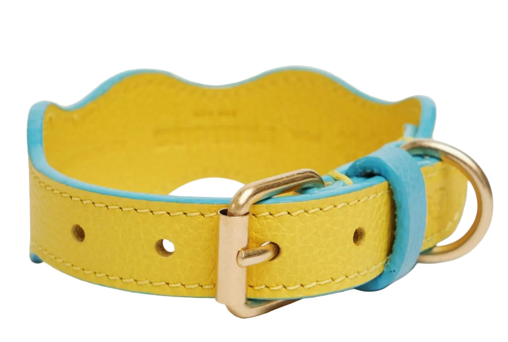 Collar The Wigglers en Tonos Aqua y Limón