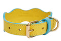 Collar The Wigglers en Tonos Aqua y Limón