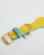 Collar The Wigglers en Tonos Aqua y Limón