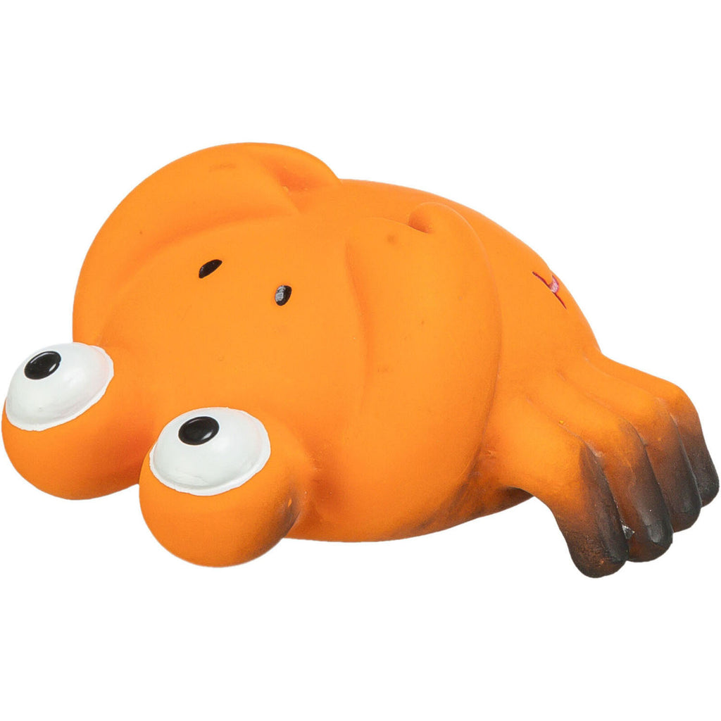 Animales Marinos