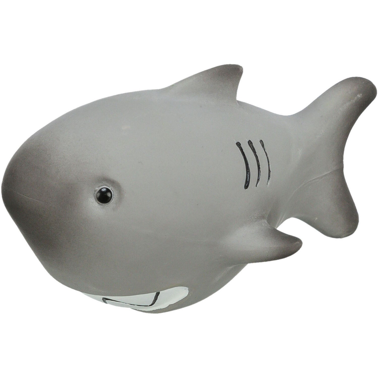 Animales Marinos