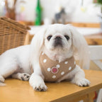 Sassa Harness Puppia