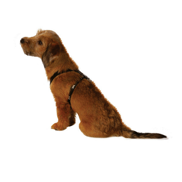 Arnés para Perro de Cuero 106 BOBBY