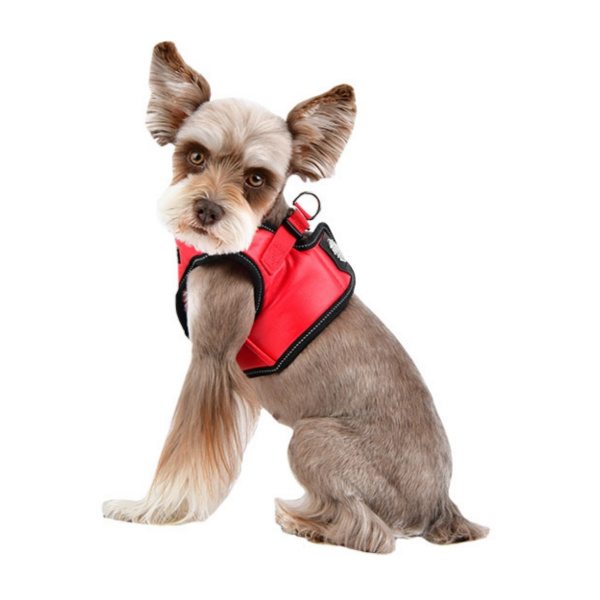 Legacy Harness B Puppia