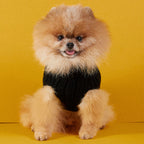 Aspen Bone and Bowl Jumper