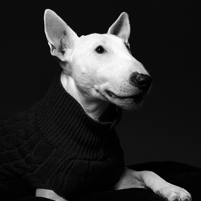 Aspen Bone and Bowl Jumper