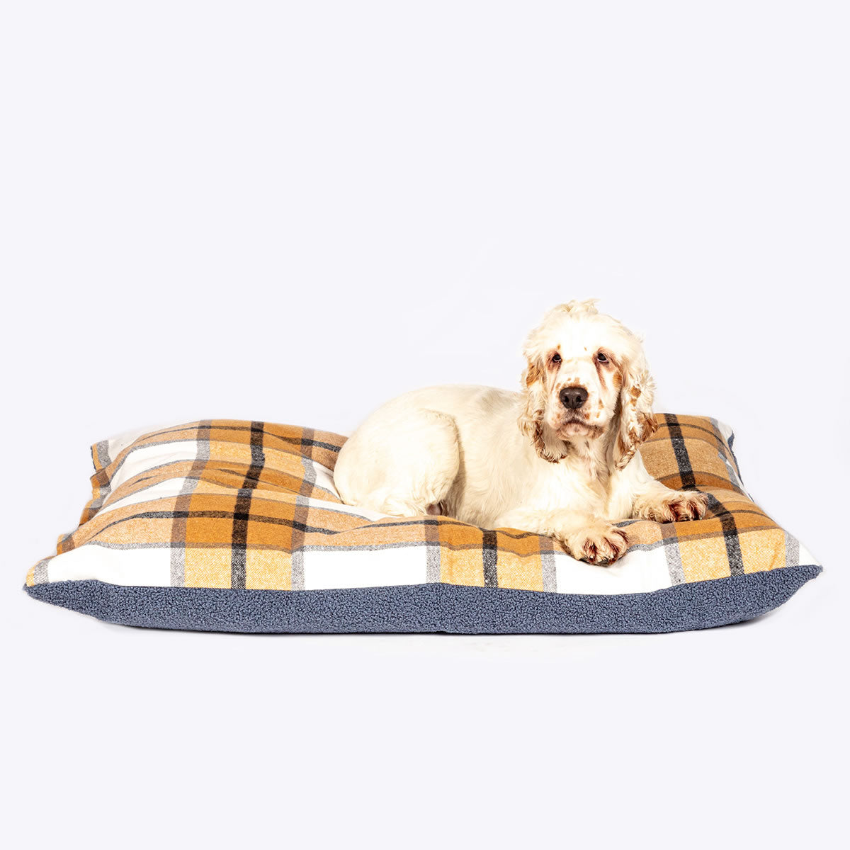 Bowmore Danish Cushion Bed