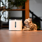 Bebedero Fuente para Mascotas Eversweet Petkit