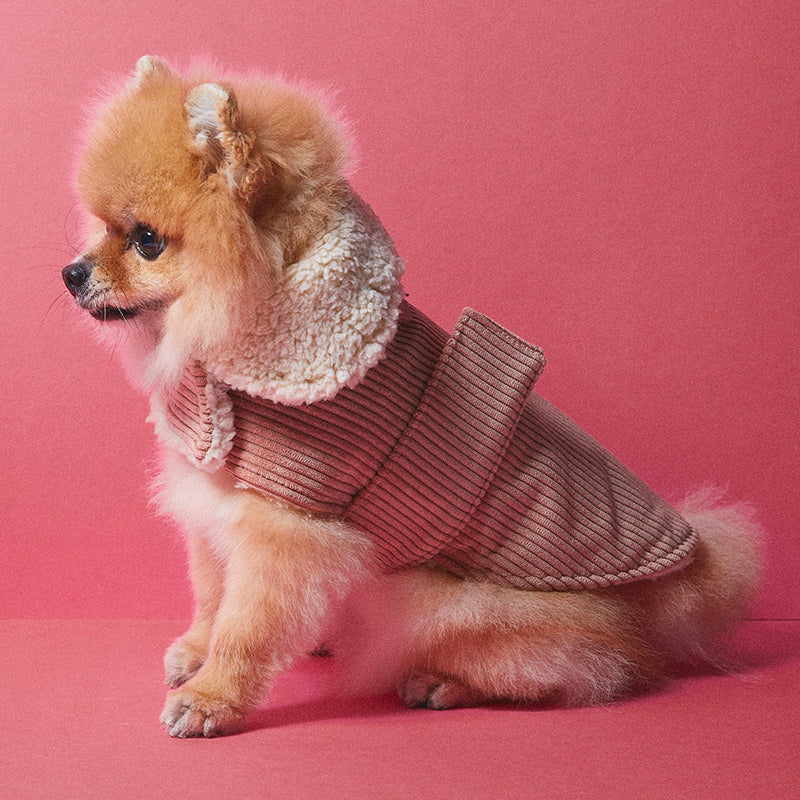 Benson Aviator Coat