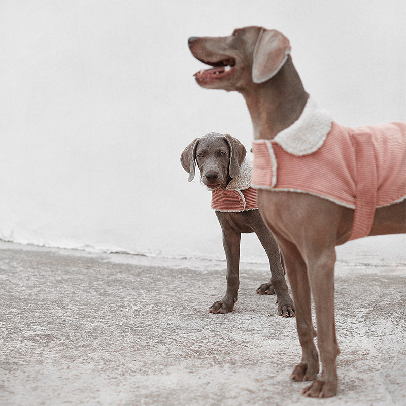 Benson Aviator Coat