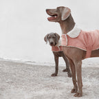 Benson Aviator Coat