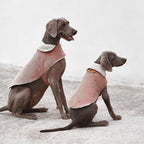 Benson Aviator Coat