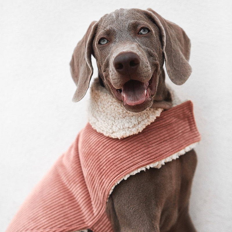 Benson Aviator Coat