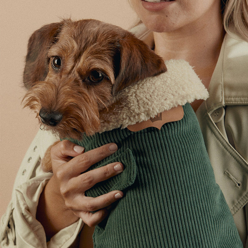 Benson Aviator Coat