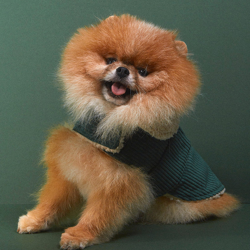 Benson Aviator Coat