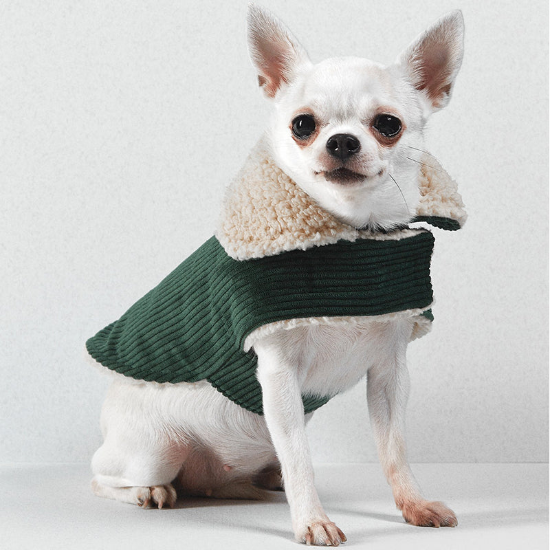 Benson Aviator Coat