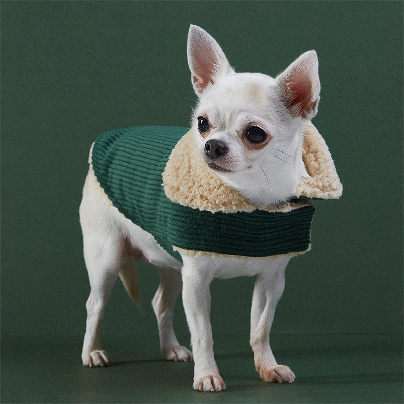 Abrigo Aviador Benson Verde