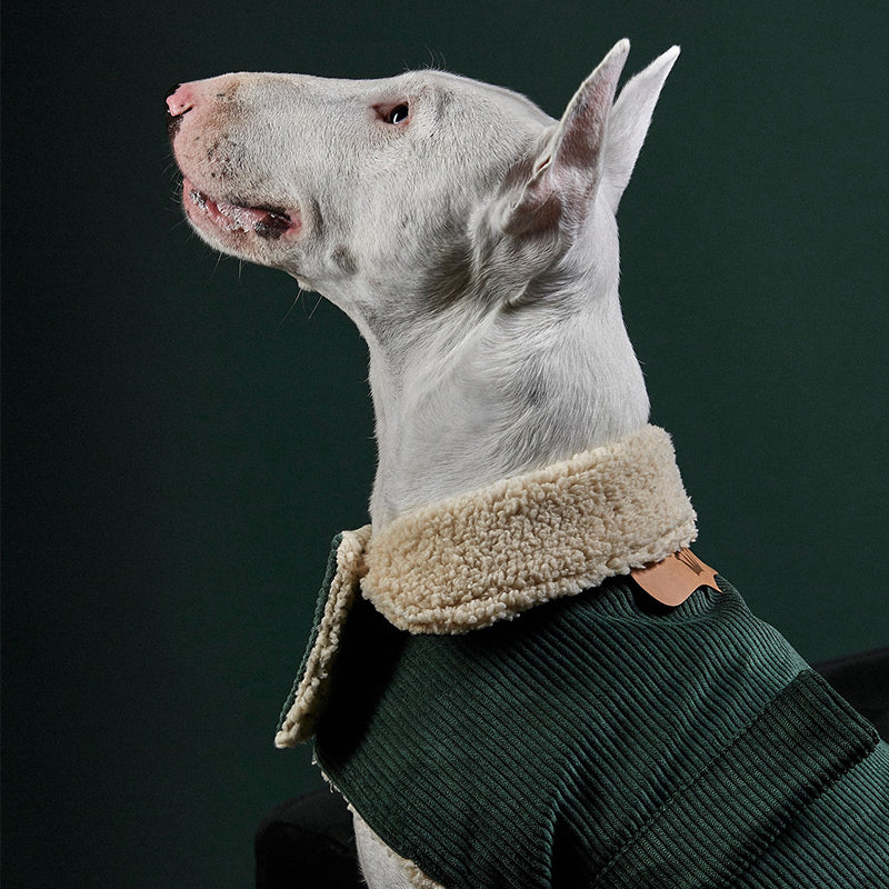 Benson Aviator Coat