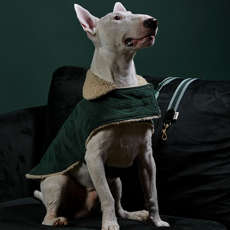 Benson Aviator Coat