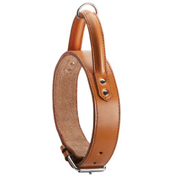 Collar especial para perros grandes Bombee