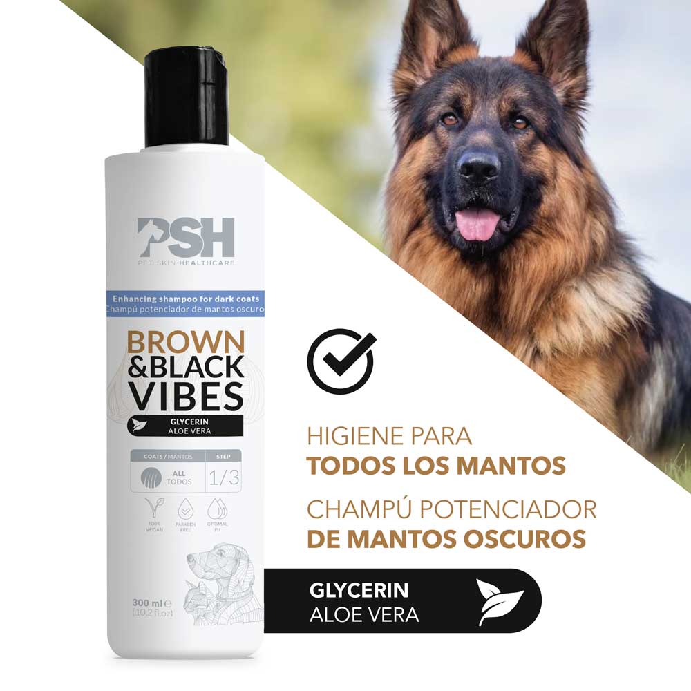 Champú Brown & Black Vibes PSH