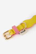 Collar The Wigglers en Tonos Rosa y Limón