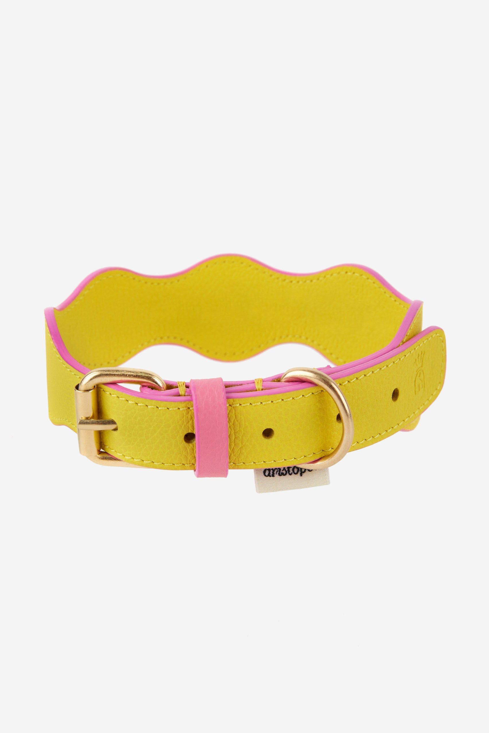Collar The Wigglers en Tonos Rosa y Limón