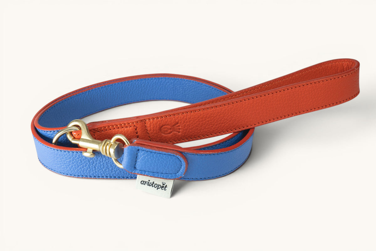 Wigglers blue and red strap