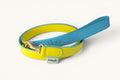 Wigglers Aqua Lemon Strap
