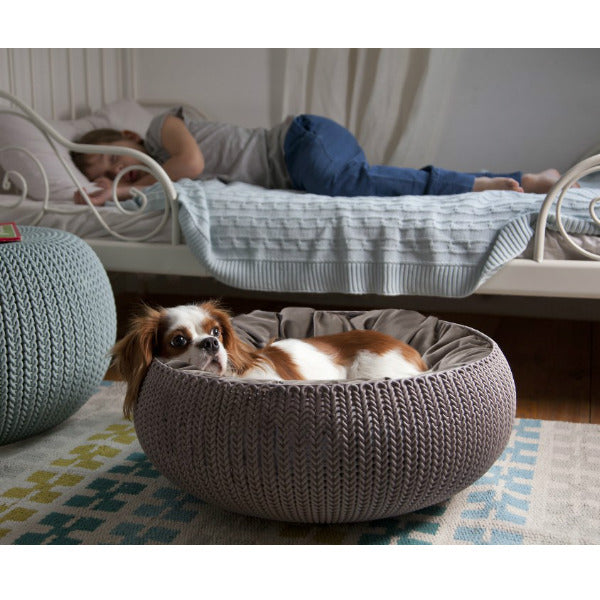 Cama Curver para perros y gatos con cojin