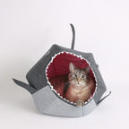 Shark cama tiburón