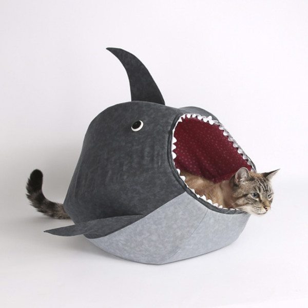 Shark cama tiburón