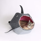 Shark cama tiburón