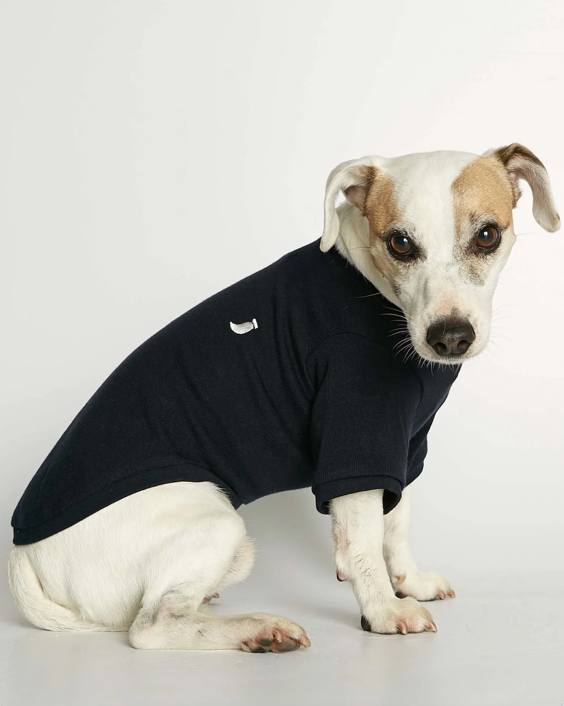 Camiseta sin mangas para Perro Eva Azul Marino
