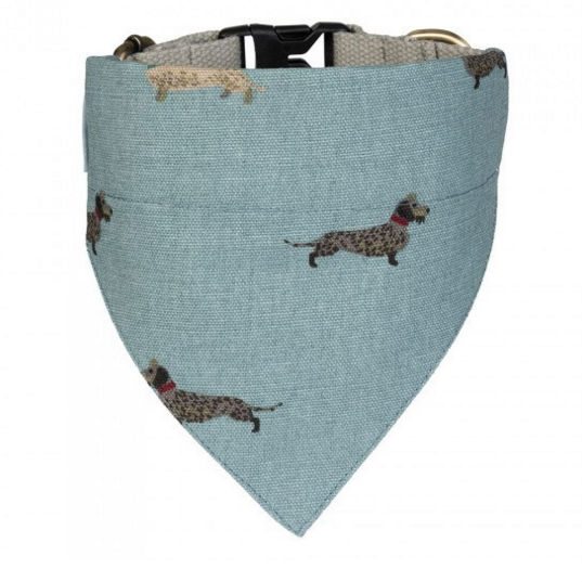 Collare con bandana Dachshund