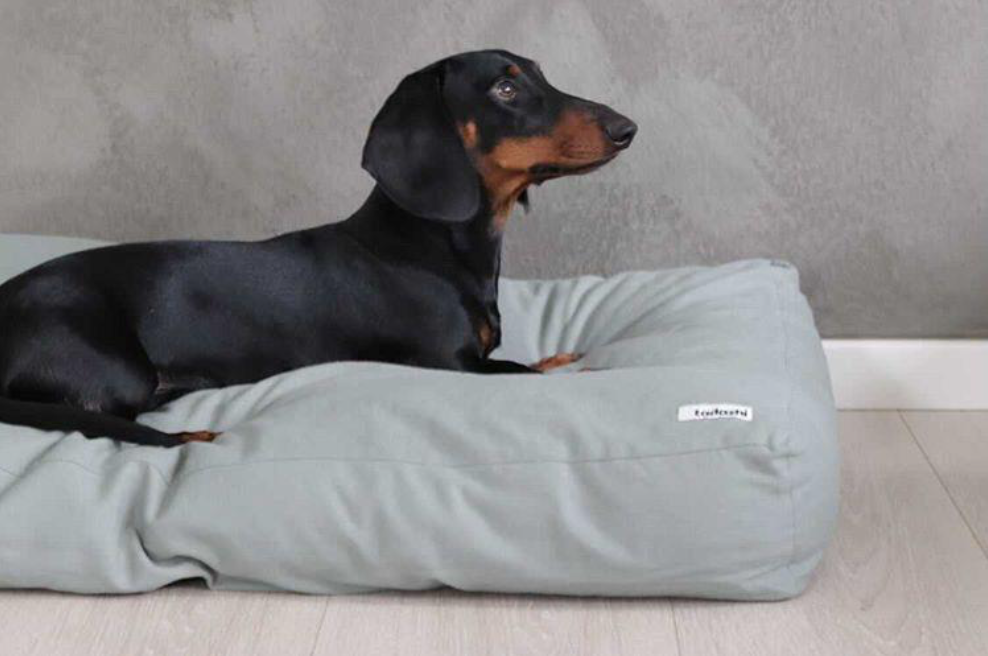 Cama para Mascotas TOBINE