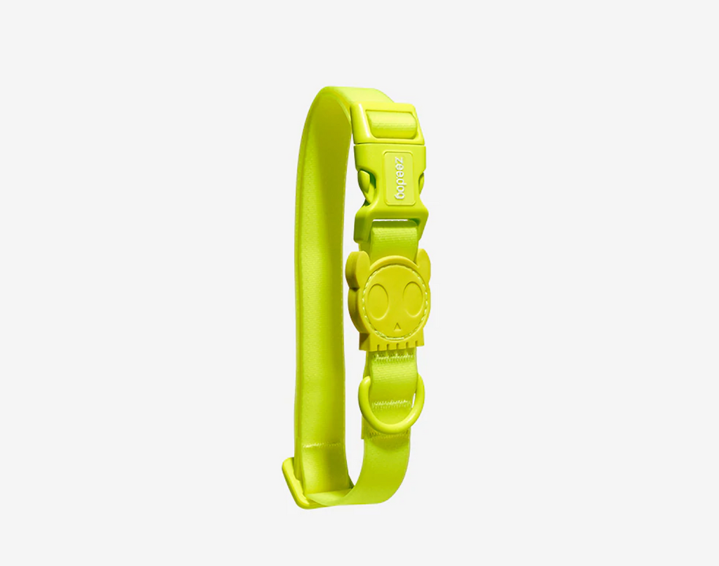 Zeedog Neopro™ Dog Collar Various Colors
