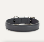 Coco Maxbone Collar