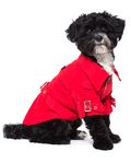 Trench Urban Pup